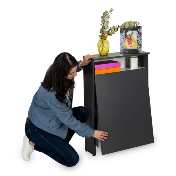 Flex+ - Imagen 6